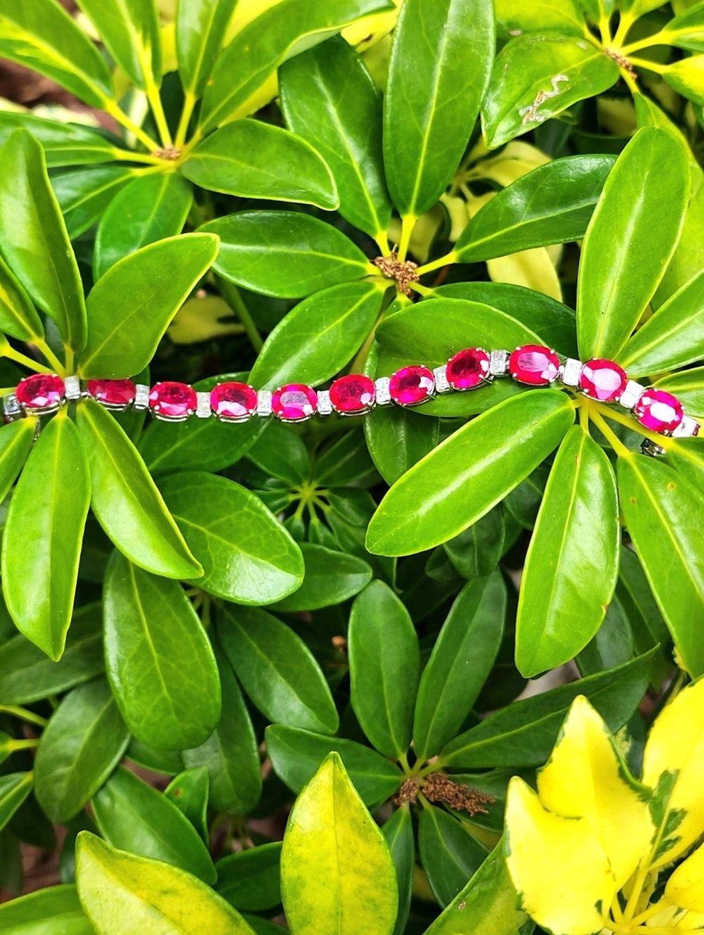 14k Gold & Natural Diamond Ruby Tennis Bracelet - Picture 7 of 8